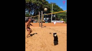 Remarkable dog human team wows the beach shorts [upl. by Cleaves]