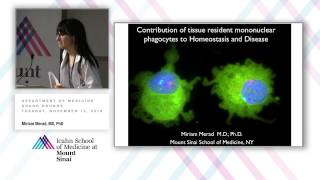 Contribution of Tissue Resident Mononuclear Phagocytes to Homeostasis and Disease [upl. by Anivel874]