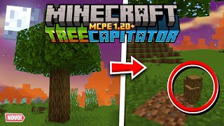 ✔️ATUALIZADO DOWNLOAD do ADDON do TREECAPITATOR para o MINECRAFT PE 120 [upl. by Aldwin]