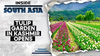 Srinagars iconic tulip garden  The annual treat  Inside South Asia [upl. by Gelya]