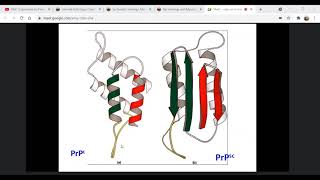 VMC Prions amp Viroids Veterinary Virology by Dr Parimal Sir 2806 [upl. by Wawro27]