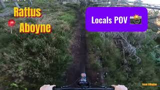 Rattus MTB📍Aboyne Pov [upl. by Tobie742]