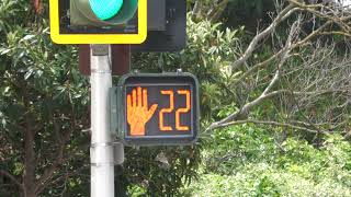 Leotek LED Pedestrian Signal in Concord California [upl. by Atidnan]