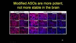 Allele Specific Silencing of Huntingtin with Antisense Oligonucleotides ASOs [upl. by Golter]