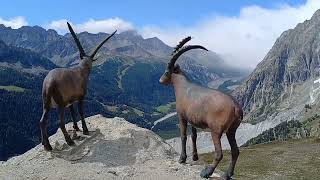 Skyway Monte Bianco  Courmayeur AO [upl. by Kavita]