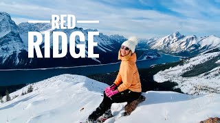 Red Ridge  Best Winter Trail in Kananaskis Rockies [upl. by Frederik982]