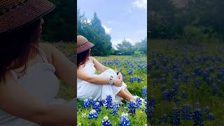 Texas Bluebonnet Season 🪻👉📍Ennis Bluebonnet Trail texas bluebonnets springflowers [upl. by Button722]