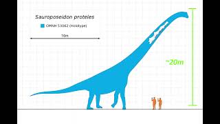 Sauroposeidon the tallest dinosaur ever [upl. by Beasley]