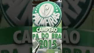 Copa do Brasil 2015 [upl. by Anierdna]