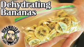 EXACTLY HOW TO DEHYDRATE BANANAS [upl. by Maris]