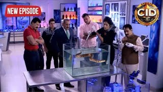 CID Funny moments 😂  1536 funny 🤣 cid [upl. by Amrac899]