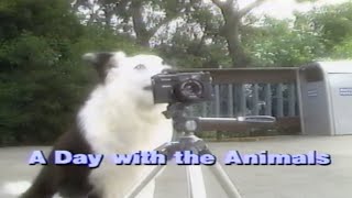 A DAY WITH THE ANIMALS 1986 — KIDSONGS Music Video Stories VHS Rip  VHS Digitization SingAlong [upl. by Ainerol]