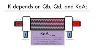 Hemodialysis Kinetics 101 06 What is KtV [upl. by Torrence]