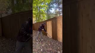 Vic staining a cedar cap and trim fence fencecartel fencestaining [upl. by Qulllon]