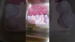 Hatchimals alive toys part 2 check the first one of hatchimals alive toys [upl. by Lemmie]