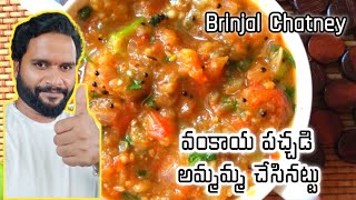 Brinjal Chutney  Vankaya Pachadi  Mana Intlo Youtuber [upl. by Aevin949]