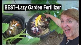 GROW Compost amp Fertilize in the Vegetable Garden Composting in PLACE [upl. by Aerdnat]