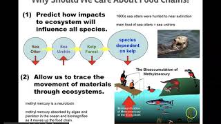 Bioaccumulation and Biomagnification [upl. by Cordi]