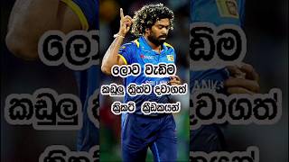 ලොව වැඩිම කඩුලු ත්‍රිත්ව දවාගත් ක්‍රිකට් ක්‍රීඩකයන් 😍🏏 cricket ipl hattrick fastbowler spinner [upl. by Dopp584]