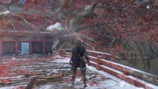 Sekiro™ True Corrupted Monk NG Intense Fight [upl. by Nonnaehr]