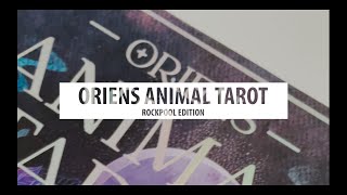 Oriens Animal Tarot Rockpool Edition Quick Walkthrough [upl. by Carlin]