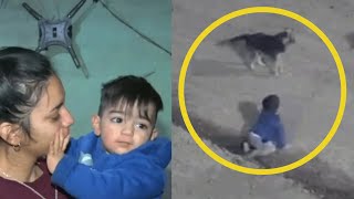 Un bebé se escapó gateando de su casa con su perro en plena madrugada lo encontró la policía [upl. by Ahsienor274]