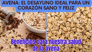 Avena El Desayuno Ideal para un Corazón Sano y Feliz [upl. by Ahserak]