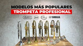 Modelos más vendidos de trompetas profesionales [upl. by Eseret]