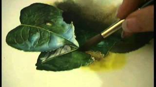 How To Watercolor  Watercolor Lessons with Susan HarrisonTustain [upl. by Alake]