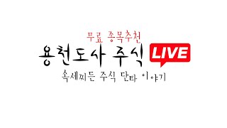 모나리자15 공략 06월 05일 수요일 용천도사 주식 단타 라이브 Feat 종목 추천 [upl. by Anierdna]