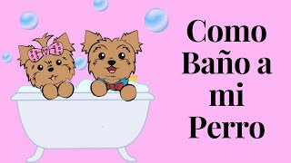 Como Baño a mi Perro en Casa  Tips by Natalia Ospina [upl. by Mikol]