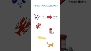 TYPE I HYPERSENSITIVITY [upl. by Yrrehc]