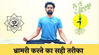 भ्रामरी करने का सही तरीका  Bhramari for beginners hindi  How to do Bhramari  भ्रामरी के फायदे [upl. by Cote]