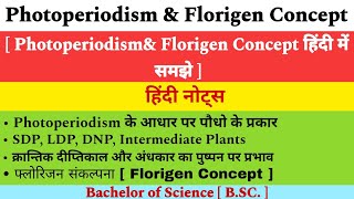 Photoperiodism in Hindi  SDP LDP DNP Intermediate Plants  Florigen Concept  Plant Physiology [upl. by Ehling612]