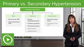 Primary vs Secondary Hypertension – Nephrology  Lecturio [upl. by Ydnim]