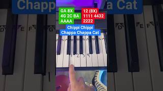 Chippi Chippi Chappa Chappa Cat Meme Piano Easy Tutorial 🐱 🎹 piano pianotutorial [upl. by Neomah907]