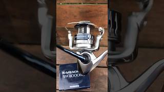 REEL SHIMANO SARAGOSA SW 6000 HG [upl. by Etireuqram483]