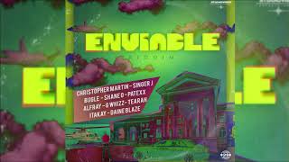 Enviable Riddim Mix JAN 2019 Chris MartinShane OBuglePatexx amp More Studio Vibes Ent [upl. by Barker]