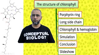 The Structure of Chlorophyll Part 1 with Dr Sohail Jamil Qureshi  MDCAT Biology [upl. by Akcire]