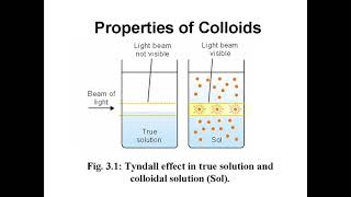 Properties of colloids part1 [upl. by Yellehs]