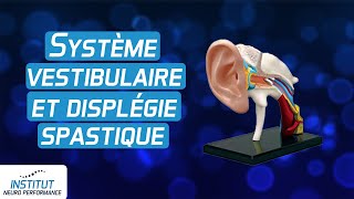 Système vestibulaire correction et dysplegie spastique [upl. by Lyell]