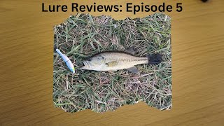 Best 10 Glide Bait  Lure Review Episode 5 [upl. by Engud]