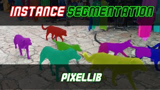 Instance Segmentation with PointRend model  PixelLib [upl. by Leilamag857]