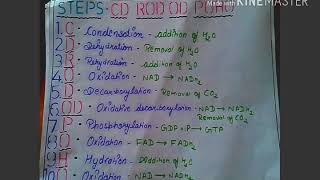 Tricks to learn whole kreb cyclefrom steps to enzyme all [upl. by Alliuqet]