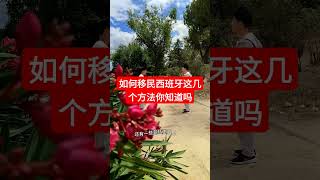 移民西班牙的方法 怎么才能去西班牙 如何出国 西班牙投资移民 西班牙非盈利移民 移民欧洲 [upl. by Ynahpit]