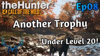 Fresh Start Ep8  theHunter Call of the Wild [upl. by Leahcimnaes]