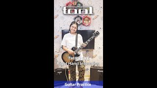 Third Eye TOOL  Right Hand Intonation Guitar Practice [upl. by Ydissak]