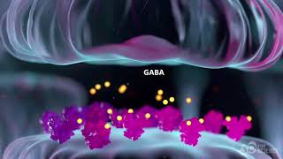 Columbia University Project Glutamic Acid Decarboxylase [upl. by Lucina282]