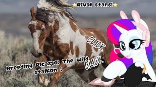 Breeding Picasso The wild stallion ⭐️Rival stars⭐️ [upl. by Leiram]