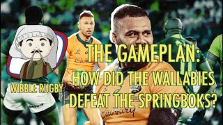 Wibble Rugby How did the Wallabies beat the Springboks  The Breakdown [upl. by Scrivenor]